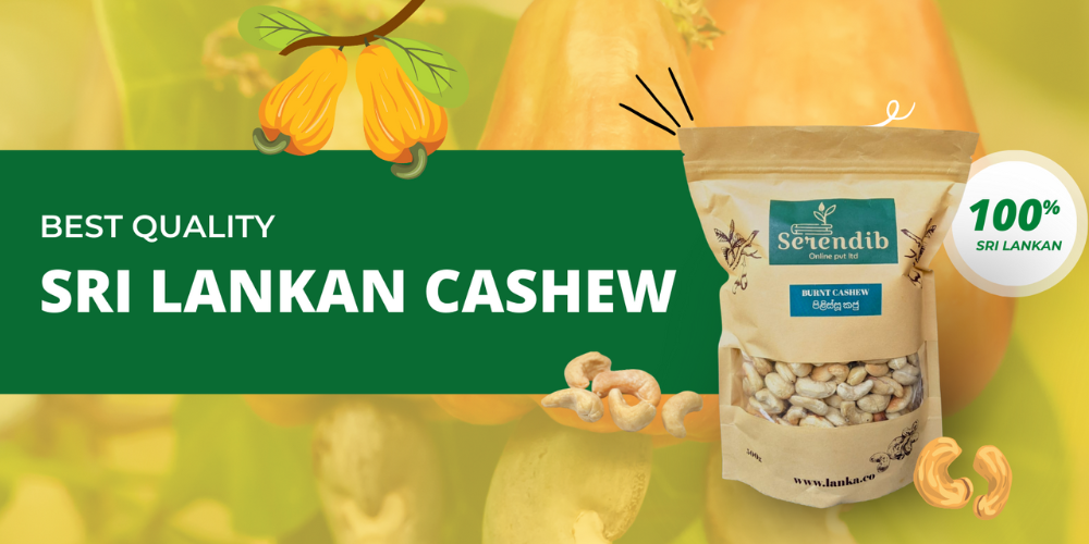 Sri Lankan Cashew