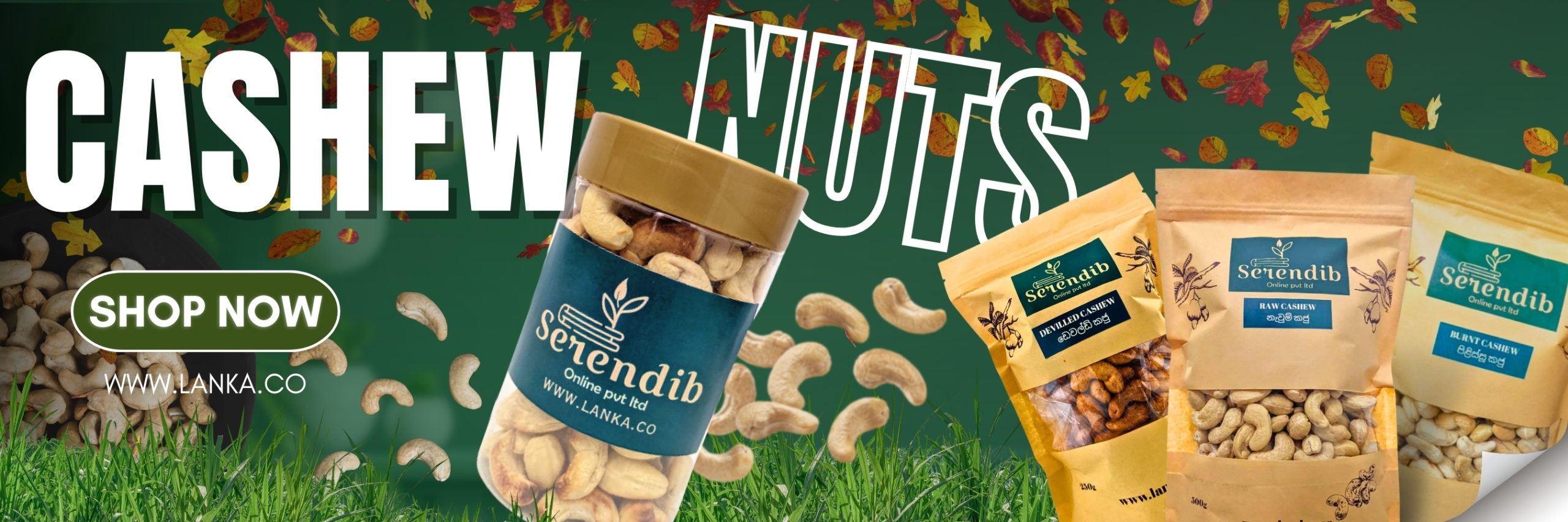 Cashew Nuts Sri Lanka