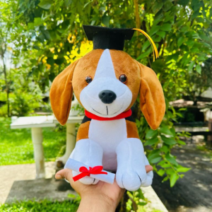Graduation Dog Soft Toy – Gift toys