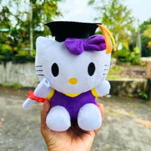 Graduation Kitty Soft Toy – Gift toys