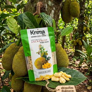 Buy Jack fruit – Dried (විජලිත කොස්) -100g