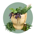 Herbal plants in a wooden container and some herbal leaves around it.